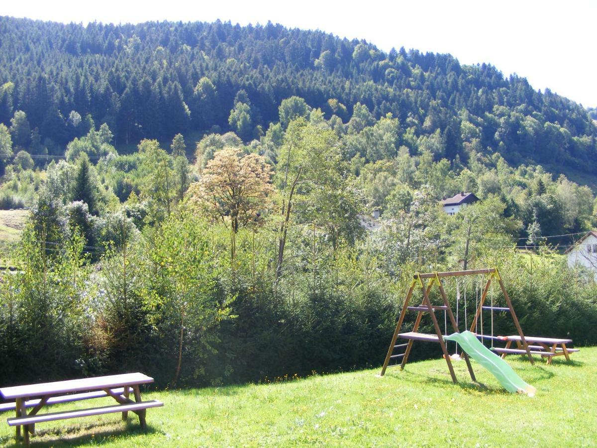 Apartmán Les Mimosas La Bresse Exteriér fotografie