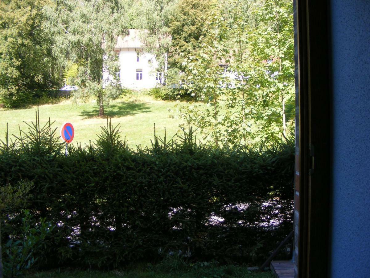 Apartmán Les Mimosas La Bresse Exteriér fotografie